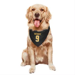 Pittsburgh Penguins Andy Bathgate Black Pet Bandana for Dog & Cat