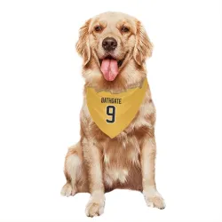 Pittsburgh Penguins Andy Bathgate Gold Pet Bandana for Dog & Cat