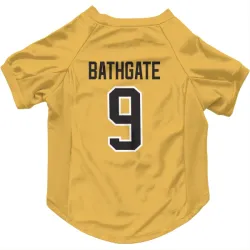 Pittsburgh Penguins Andy Bathgate Gold Pet Jersey for Dog & Cat