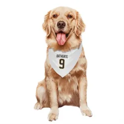 Pittsburgh Penguins Andy Bathgate White Pet Bandana for Dog & Cat