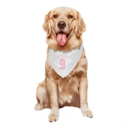 Pittsburgh Penguins Andy Bathgate White Pink Pet Bandana for Dog & Cat