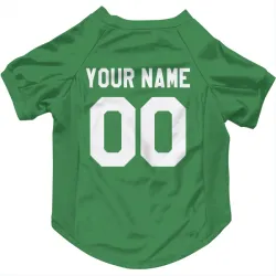 Pittsburgh Penguins Custom Green Pet Jersey for Dog & Cat