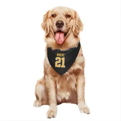 Pittsburgh Penguins Michel Briere Black Pet Bandana for Dog & Cat