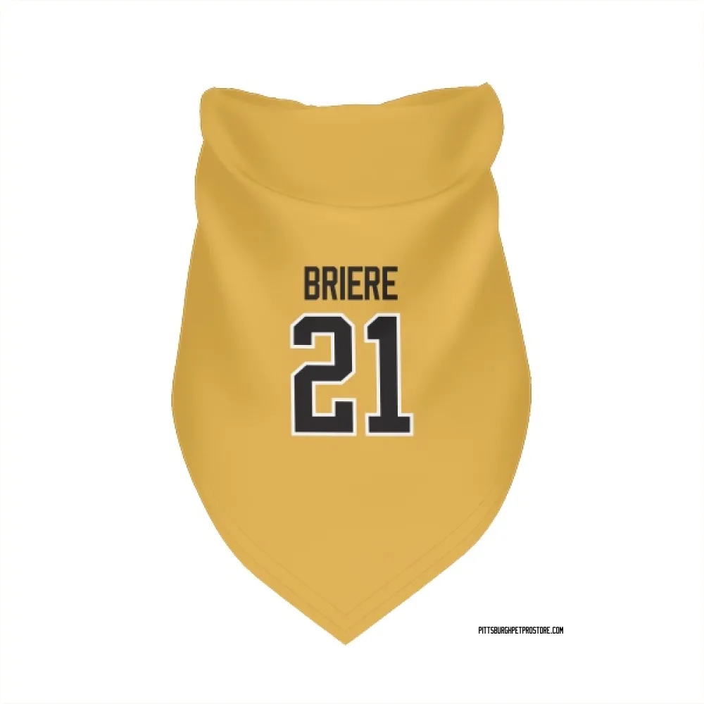 Pittsburgh Penguins Michel Briere Gold Pet Bandana for Dog & Cat
