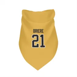 Pittsburgh Penguins Michel Briere Gold Pet Bandana for Dog & Cat
