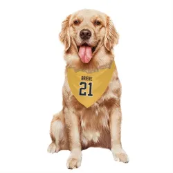 Pittsburgh Penguins Michel Briere Gold Pet Bandana for Dog & Cat