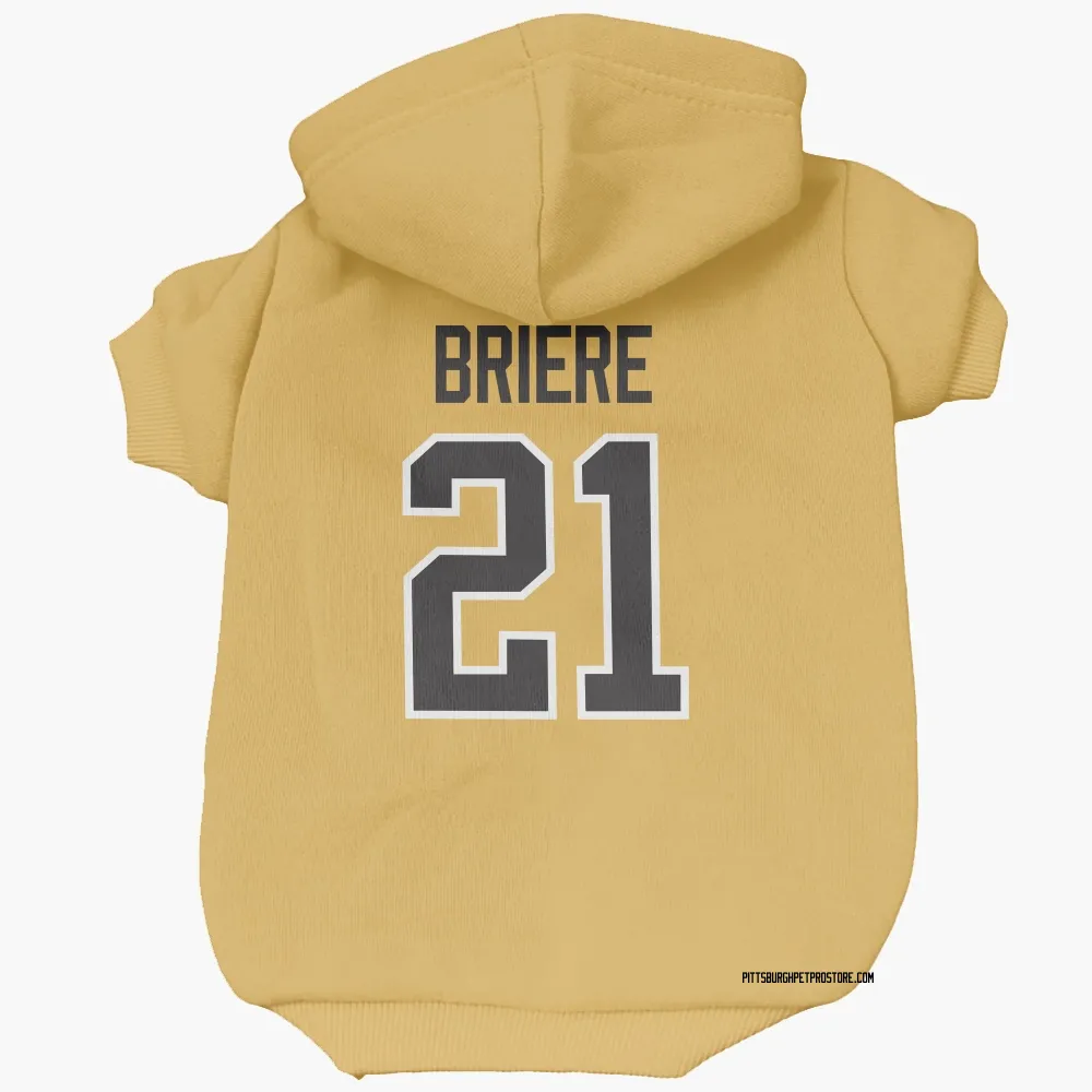 Pittsburgh Penguins Michel Briere Gold Pet Hoodie for Dog & Cat