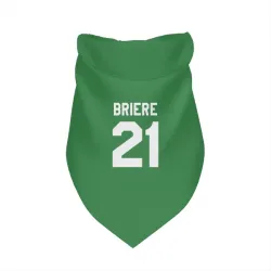 Pittsburgh Penguins Michel Briere Green Pet Bandana for Dog & Cat