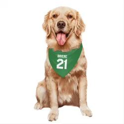 Pittsburgh Penguins Michel Briere Green Pet Bandana for Dog & Cat