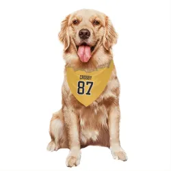 Pittsburgh Penguins Sidney Crosby Gold Pet Bandana for Dog & Cat