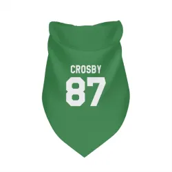 Pittsburgh Penguins Sidney Crosby Green Pet Bandana for Dog & Cat